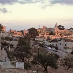 Traditional Palestinian Cuisine Restaurants - Taibe