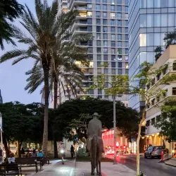 Rothschild Boulevard - Tel Aviv-Yafo