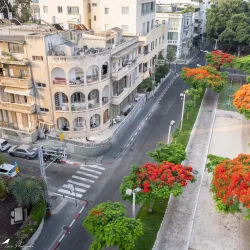Rothschild Boulevard - Tel Aviv-Yafo