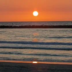 Tel Aviv Beaches - Tel Aviv-Yafo