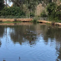 Yarkon Park - Tel Aviv-Yafo