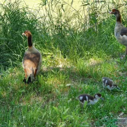 Yarkon Park - Tel Aviv-Yafo