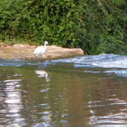Yarkon Park - Tel Aviv-Yafo