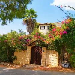 Ein Hod Artists' Village - Tirat Carmel