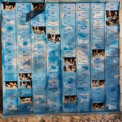 Ein Hod Artists' Village - Tirat Carmel