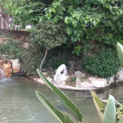 Louis Promenade, Haifa - Tirat Carmel