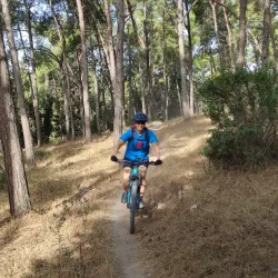 Menashe Forest - Tirat Carmel