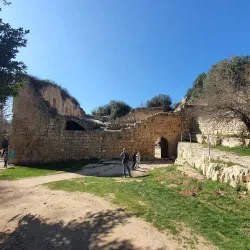 Ein Hemed National Park - Tzur Hadassah