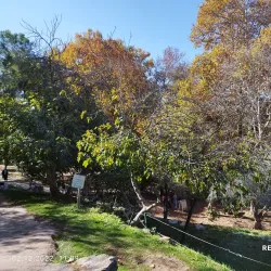 Ein Hemed National Park - Tzur Hadassah