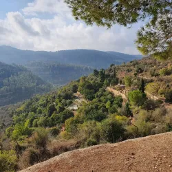 Hiking Trails Around Tzur Hadassah - Tzur Hadassah