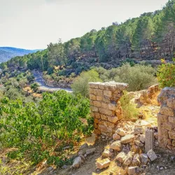 Hiking Trails Around Tzur Hadassah - Tzur Hadassah