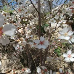 Hiking Trails Around Tzur Hadassah - Tzur Hadassah