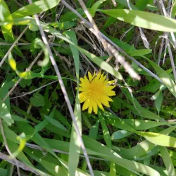 Jerusalem Hills Scenic Drive - Tzur Hadassah