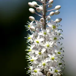 Jerusalem Hills Scenic Drive - Tzur Hadassah