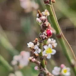 Jerusalem Hills Scenic Drive - Tzur Hadassah