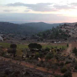 Tzur Hadassah Forest - Tzur Hadassah