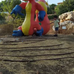 Tzur Hadassah Forest - Tzur Hadassah