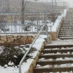 Tzur Hadassah Forest - Tzur Hadassah