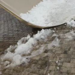 Tzur Hadassah Forest - Tzur Hadassah