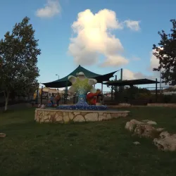 Tzur Hadassah Forest - Tzur Hadassah