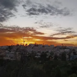 Tzur Hadassah Forest - Tzur Hadassah