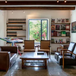 Agricultural Fields and Vineyards - Tzur Moshe