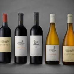 Agricultural Fields and Vineyards - Tzur Moshe