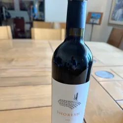 Agricultural Fields and Vineyards - Tzur Moshe