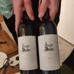 Agricultural Fields and Vineyards - Tzur Moshe