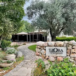 Agricultural Fields and Vineyards - Tzur Moshe