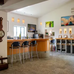 Agricultural Fields and Vineyards - Tzur Moshe