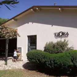Agricultural Fields and Vineyards - Tzur Moshe