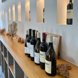 Agricultural Fields and Vineyards - Tzur Moshe