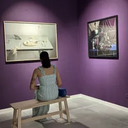 Local Art Exhibitions - Tzur Moshe