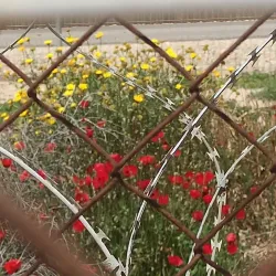 Nearby Kibbutz Visits - Tzur Moshe