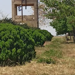 Nearby Kibbutz Visits - Tzur Moshe