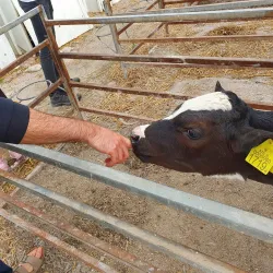 Nearby Kibbutz Visits - Tzur Moshe