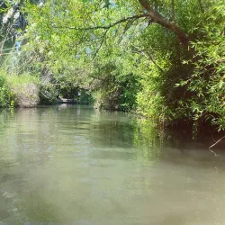 Nearby Nature Trails - Tzur Moshe