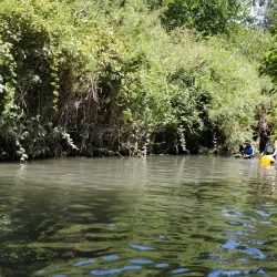 Nearby Nature Trails - Tzur Moshe