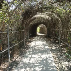 Nearby Nature Trails - Tzur Moshe