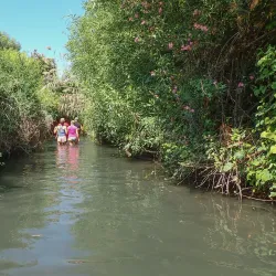 Nearby Nature Trails - Tzur Moshe