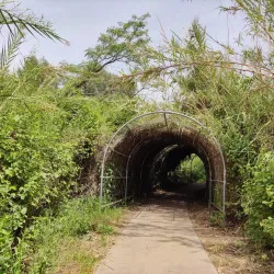 Nearby Nature Trails - Tzur Moshe