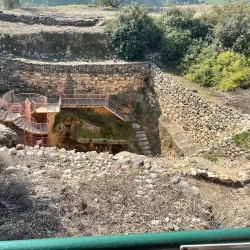 Tzur Moshe Local Park - Tzur Moshe