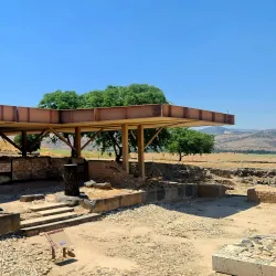 Tzur Moshe Local Park - Tzur Moshe