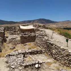 Tzur Moshe Local Park - Tzur Moshe