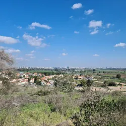 Yavne Market - Yavne