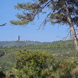 Mount Carmel National Park (nearby) - Yokneam Illit