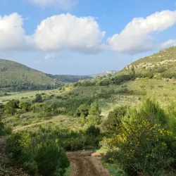 Mount Carmel National Park (nearby) - Yokneam Illit