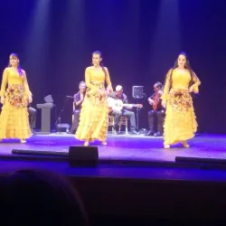 Yokneam Illit Cultural Festival (seasonal) - Yokneam Illit