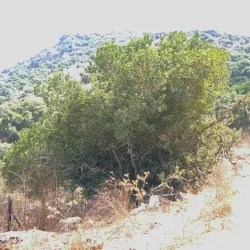 Yokneam Industrial Park - Yokneam Illit